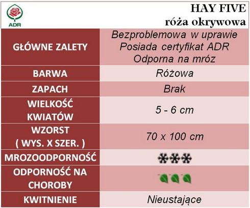 Hay five róże okrywowe gł.zal